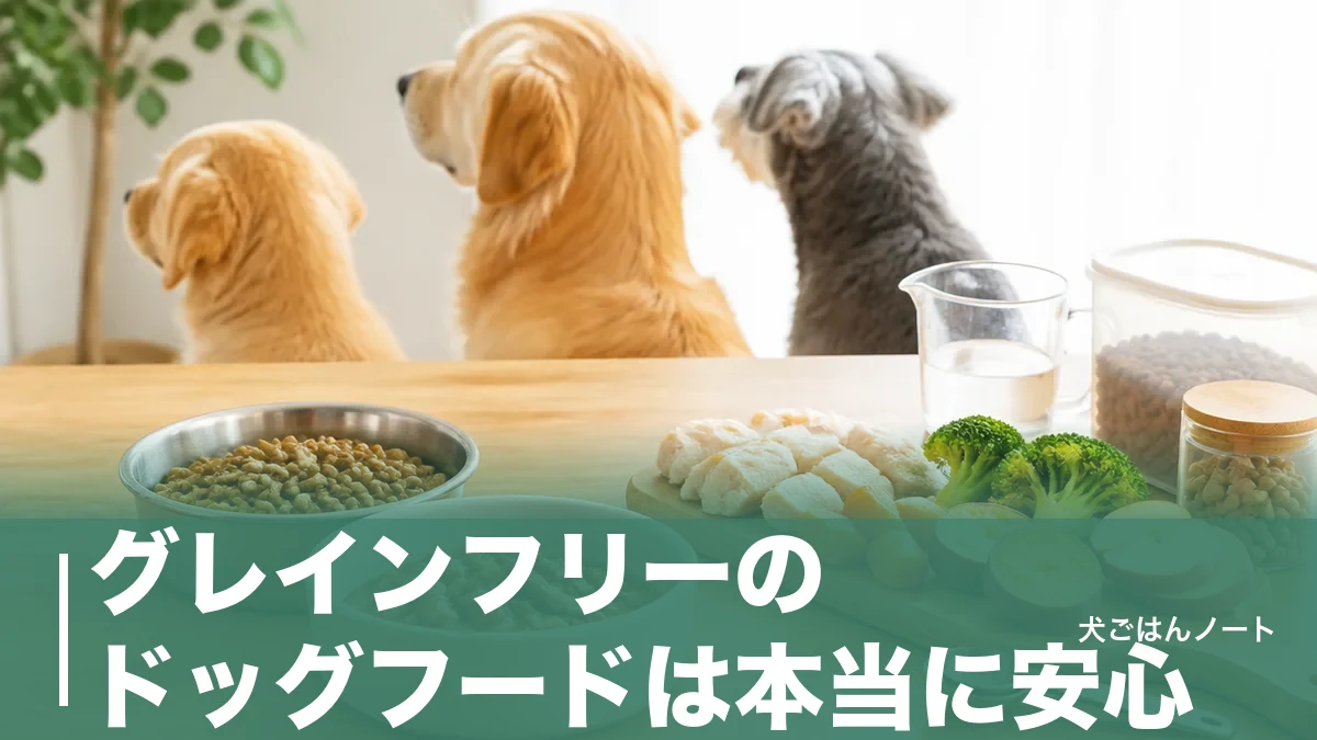 グレインフリーのドッグフードは本当に安心?表示区分「4つ」にない理由と豆類の注意点のアイキャッチ画像