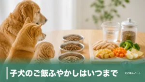 子犬のご飯ふやかしはいつまで？生後3〜4ヶ月が目安の理由と1週間〜10日の卒業手順のアイキャッチ画像