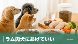 ラム肉犬にあげていい？ロースは脂身で287kcal→128kcal、加熱・骨・量の注意点のアイキャッチ画像