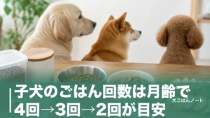 子犬のごはん回数は月齢で4回→3回→2回が目安？1日1回がNGな理由と減らす時期のアイキャッチ画像